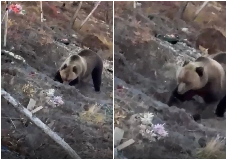 Фото: скриншот видео, предоставлено КП-Челябинск.