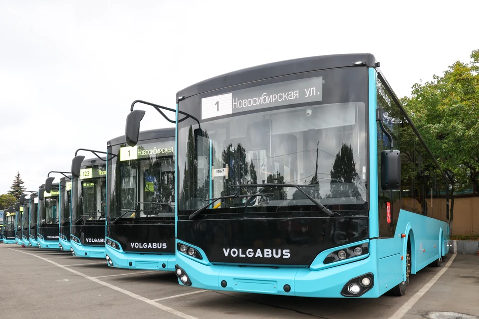 Город получил 30 автобусов ЛиАЗ и 53 Volgabus, которые в ближайшее время выйдут на маршруты. Фото: Смольный