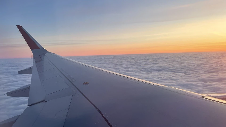 Фото: Наталья Шепилова