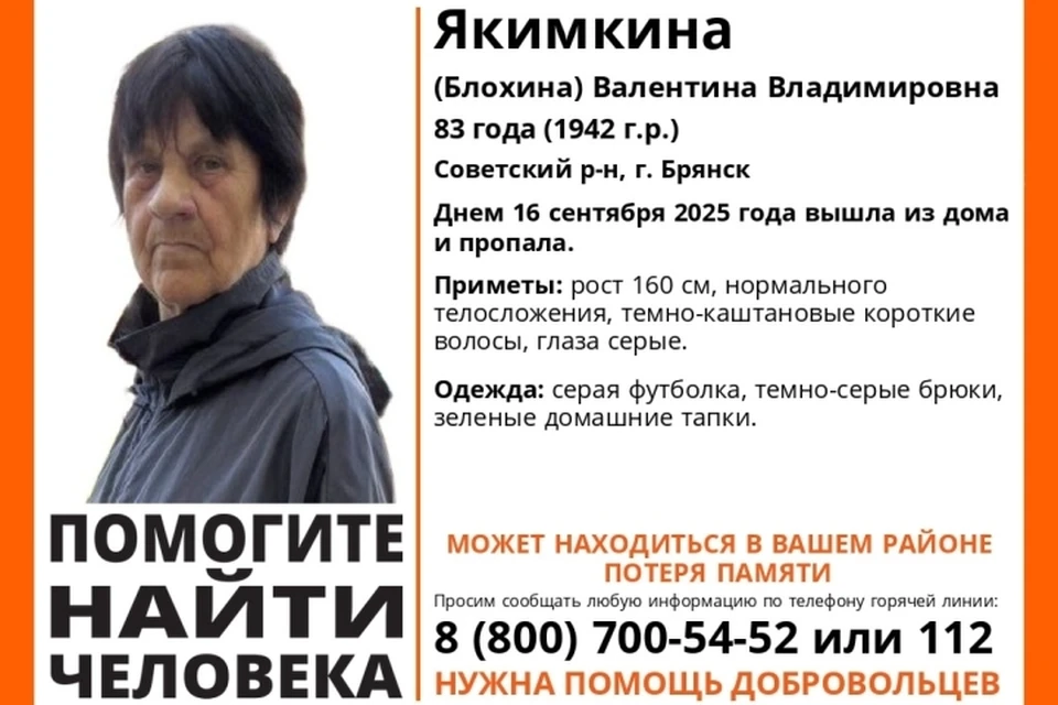 Фото: поисковый отряд "Лиза Алерт", ВКонтакте.