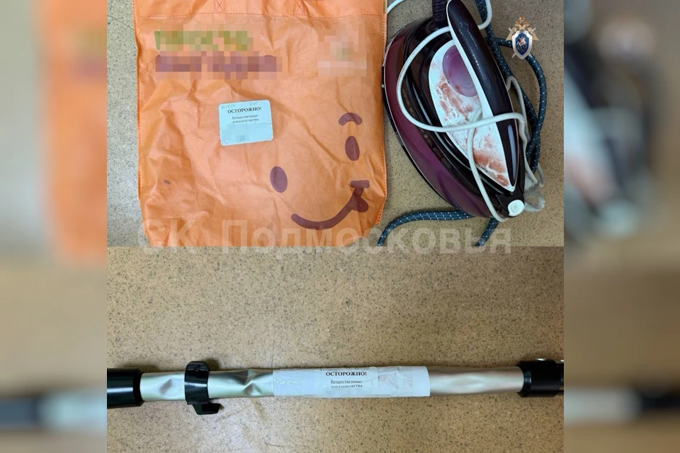 В Подольске рецидивист пытал знакомую парогенератором и обокрал ее