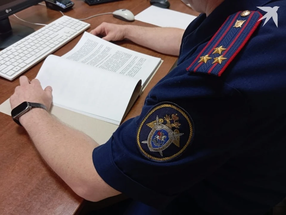 Фото: t.me/sledcom_omsk