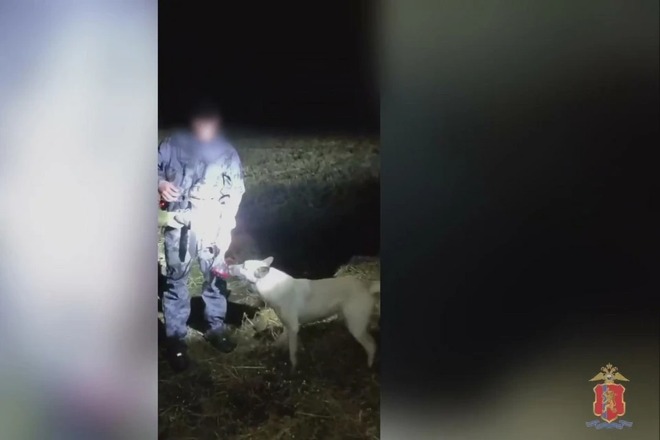 В Красноярском крае задержали двух браконьеров с тушей барсука. Фото: МВД