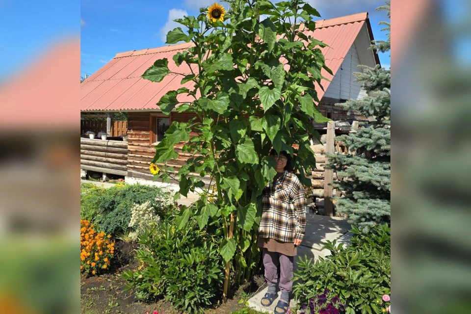 Фото: Айжан Маманова