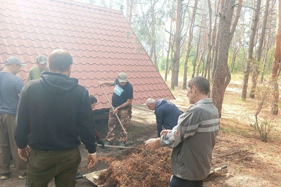 В Мариуполе готовят леса к осенне-зимнему периоду. Фото: Администрация Мариуполя