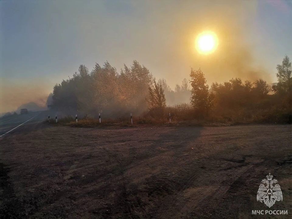 Один из очагов находится в четырех километрах от села Пехотное.