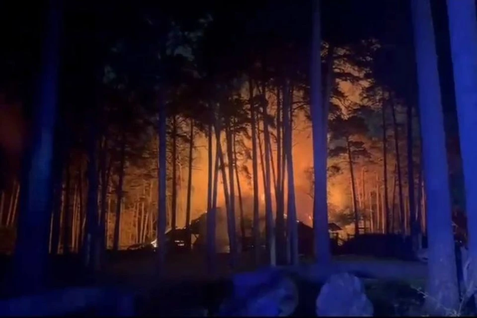 В пожаре в Новосибирском зоопарке погибли козы и олени. Фото: прокуратура Новосибирской области.