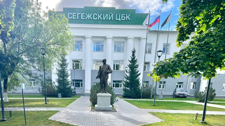 «Сегежа Групп» устанавливает новые стандарты качества белой бумаги