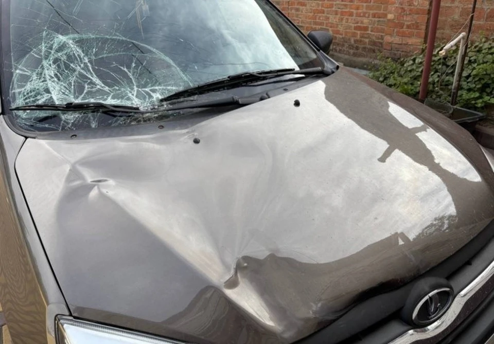 Фото: предоставлено Ильей Афатовым