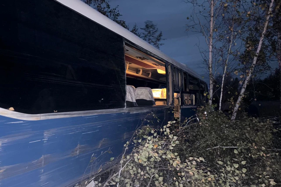 Автобус врезался в дерево. Фото: ГАИ Челябинской области