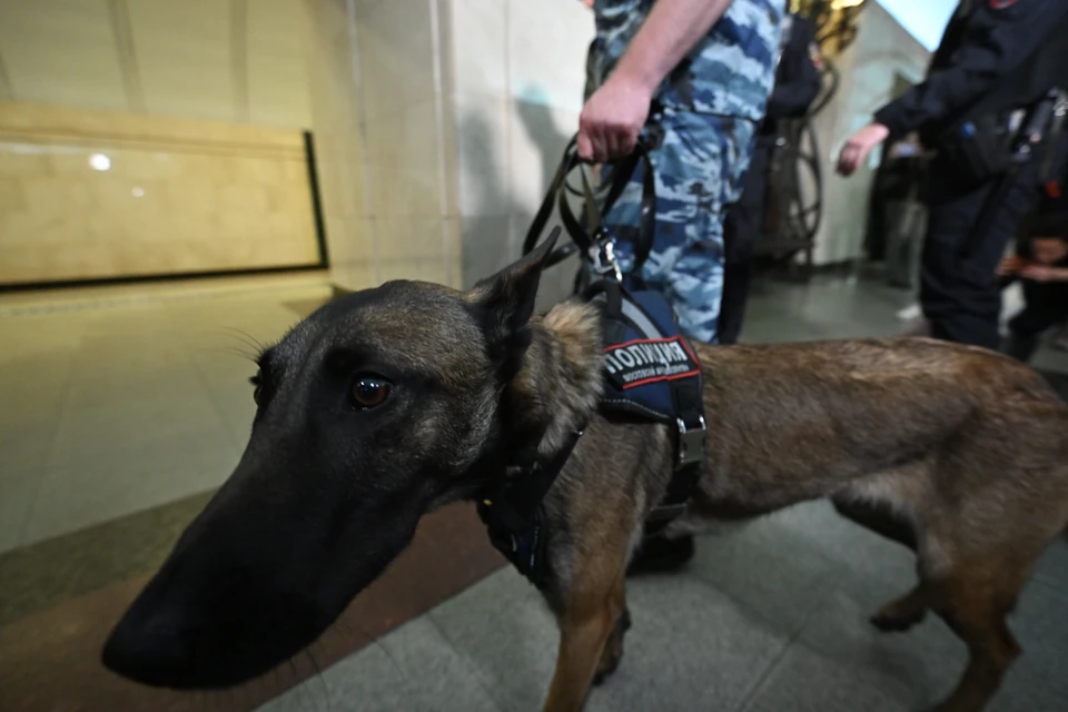 О возможном минировании образовательных учреждений сообщают в Северной Осетии