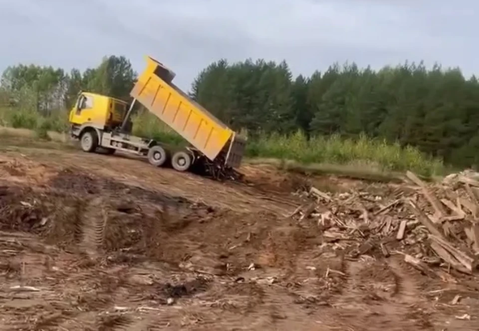 Фото: кадр видео пресс-службы Минэкологии Кировской обласи