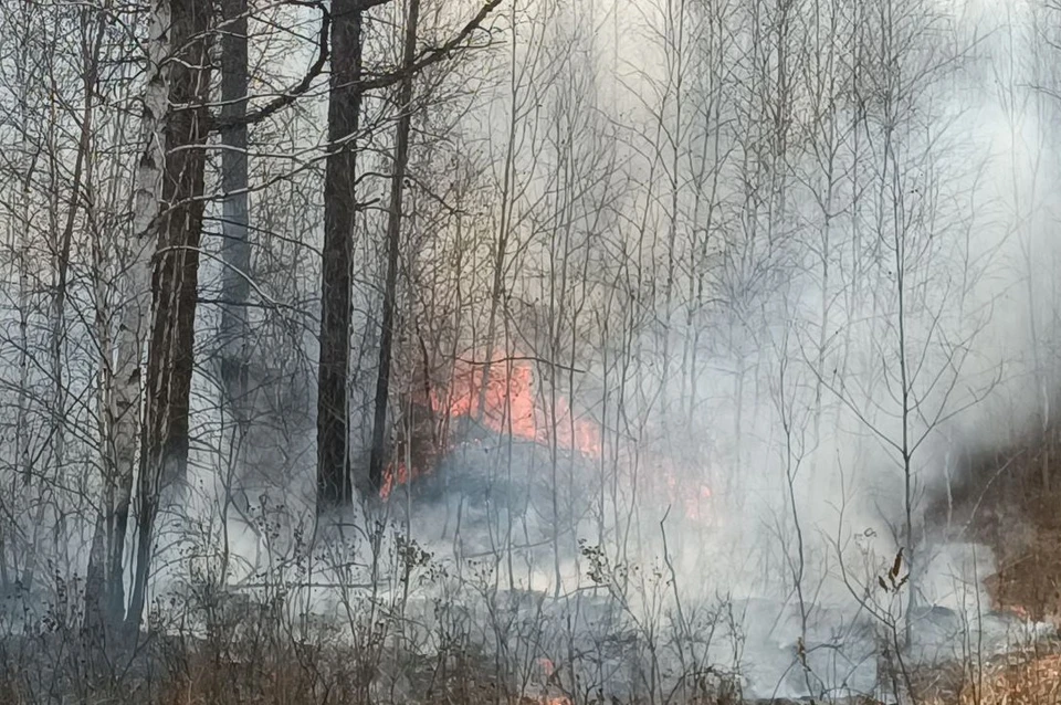 За минувшие сутки, 28 сентября, в Ростовской области потушили 12 техногенных пожаров и шесть возгораний сухой растительности.