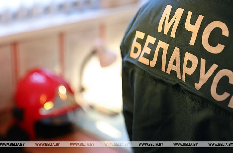 В Витебске сотрудники МЧС спасли собаку, которая застряла, когда грелась на батарея. Фото: БелТА.