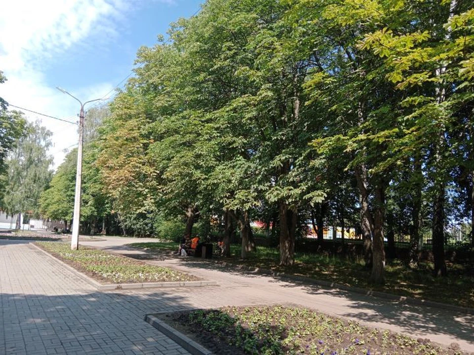 Курян просят сохранять спокойствие