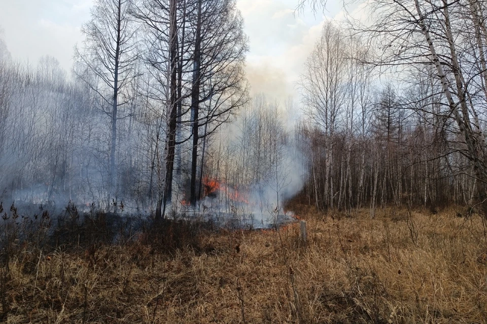 В Иркутской области подвели итоги пожароопасного периода.