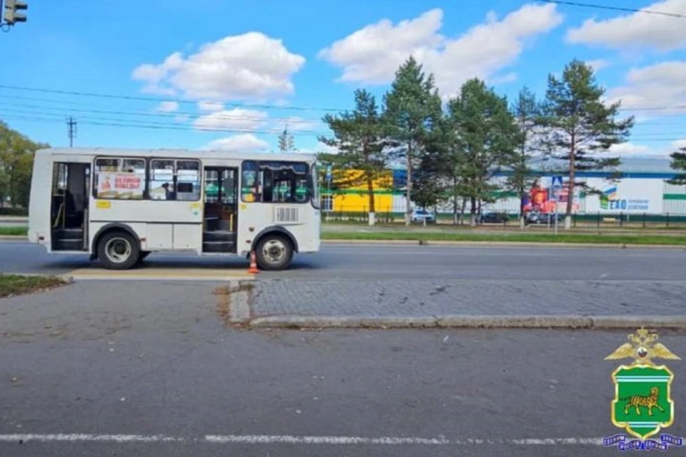 Водитель автобуса сбил школьника на зебре в ЕАО Фото: УМВД России по ЕАО