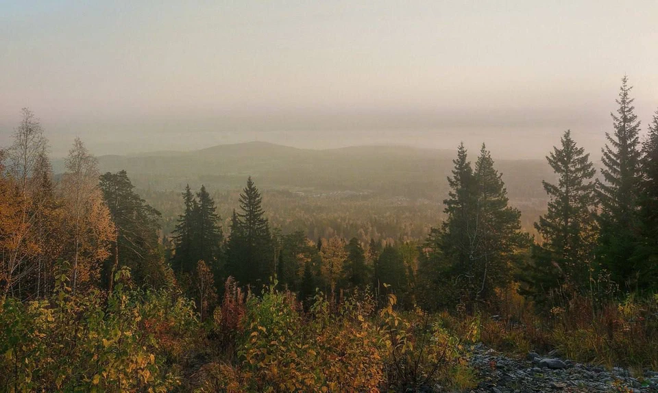 Фото: СК по Красноярскому краю