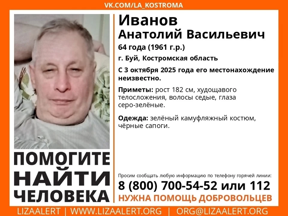 Источник: https://vk.com/la_kostroma