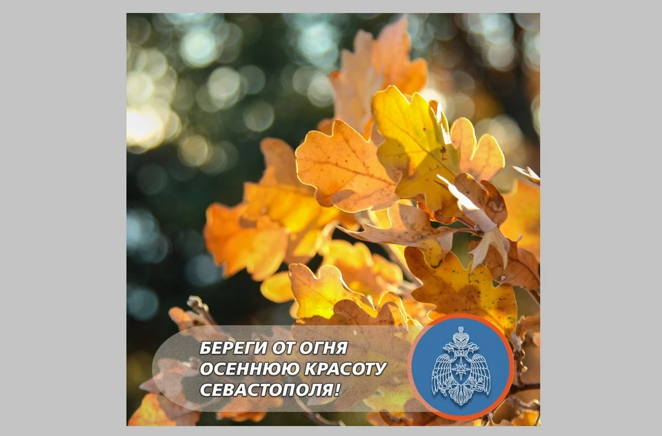 Особый противопожарный режим вводили в городе в засушливый период. Фото: t.me/mchs_sevastopol