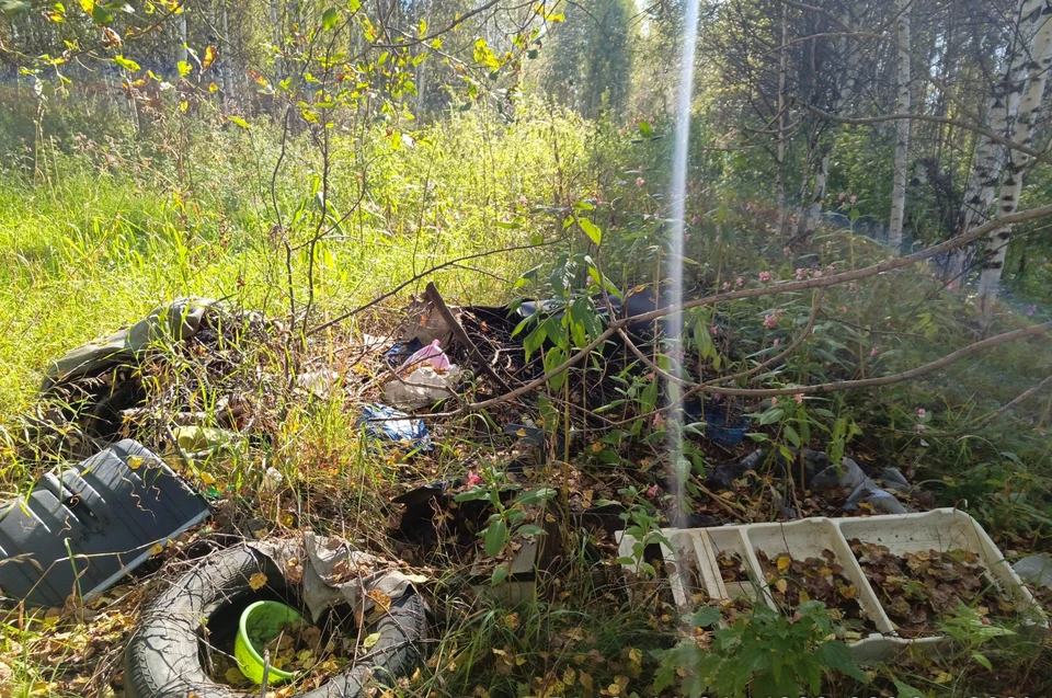 Фото: пресс-служба Россельхознадзора.