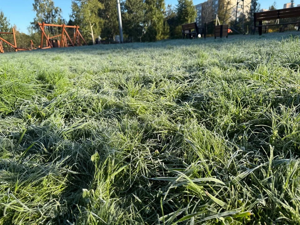 На Тюмень и область обрушится снежный циклон с севера.