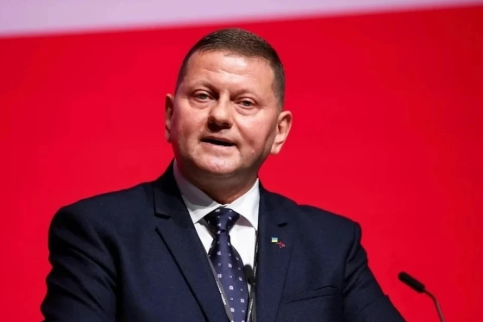 IO: Залужный набирает команду для выдвижения на пост президента Украины