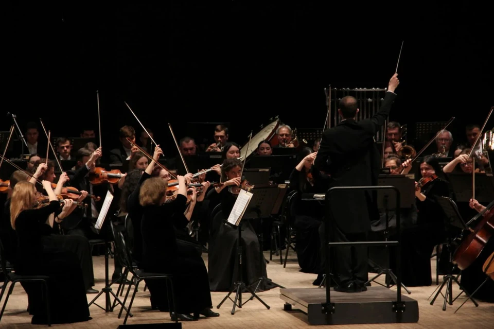 На средства гранта создадут цикл литературно-музыкальных концертных программ. ФОТО: Правительство ЛНР