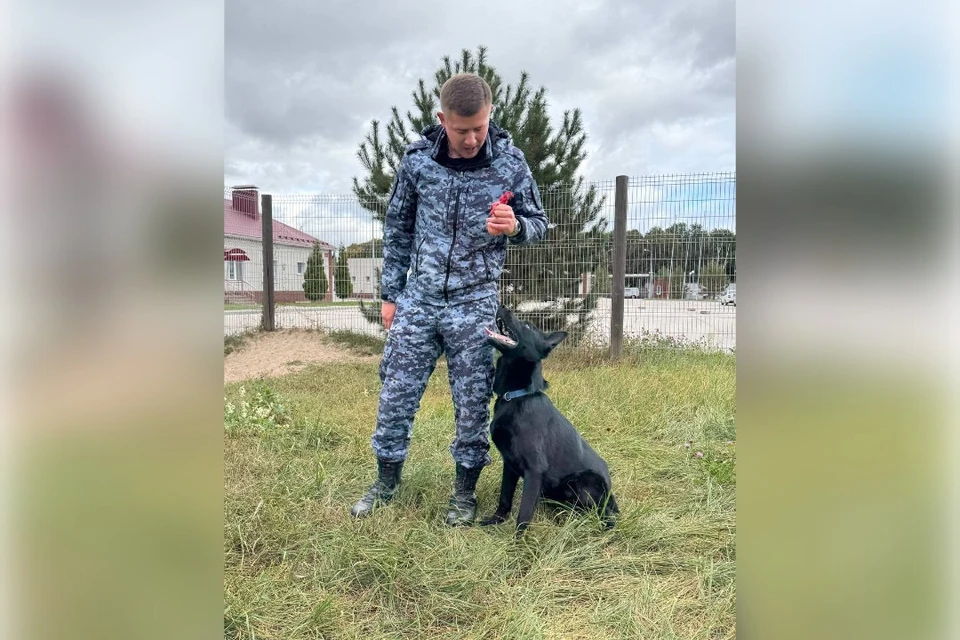 Душка-пес теперь резвится на воле.