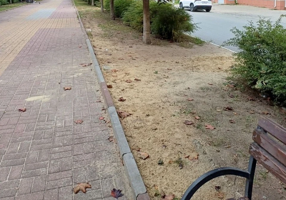 В Калуге обещают восстановить аллею на улице Степана Разина.