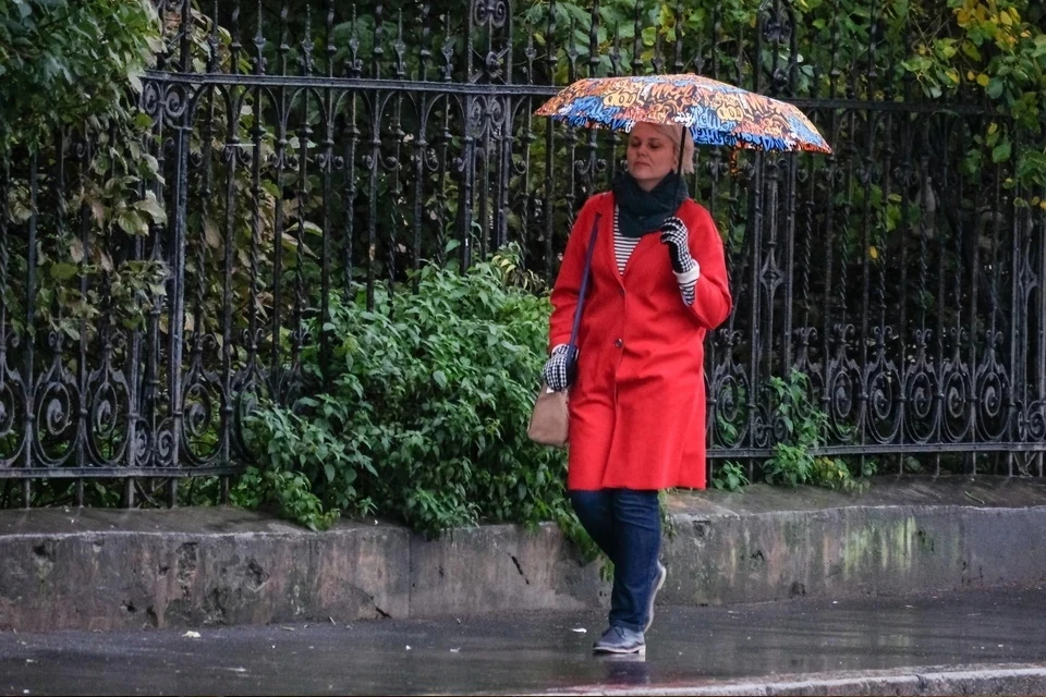 Москвичей предупредили о дождливых выходных