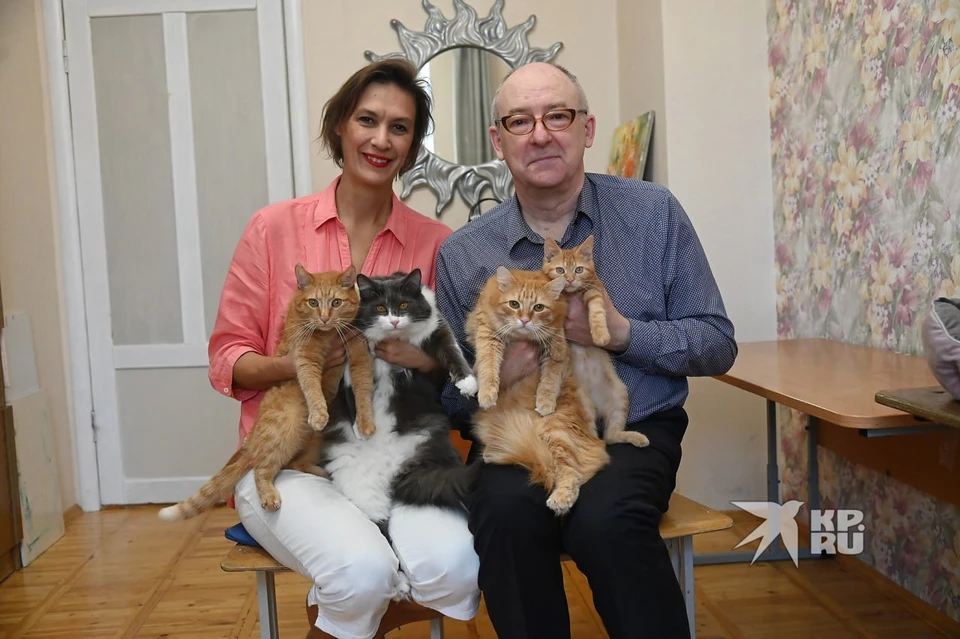 Бывший следователь Андрей Чечель и его супруга Елена спасают котиков и находят для них заботливых хозяев