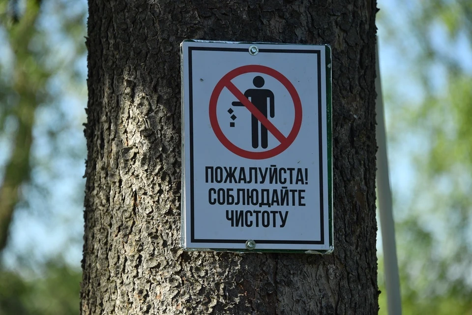 Эксперты оценили причиненный ущерб окружающей среде на 692 тысячи рублей
