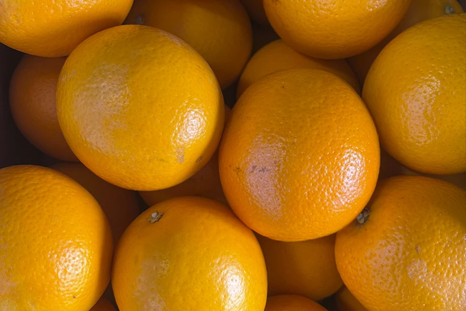 Апельсины оказались заражены. Фото: 178.fsvps.gov.ru/