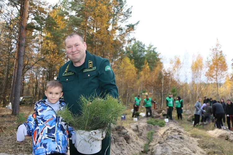 В Городищенском районе прошло центральное мероприятие акции «Сохраним лес»