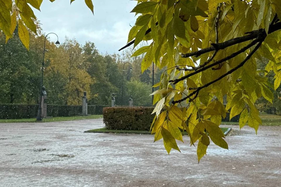 Град застал жителей в Московоском районе Петербурга. Фото: Алена Гитер