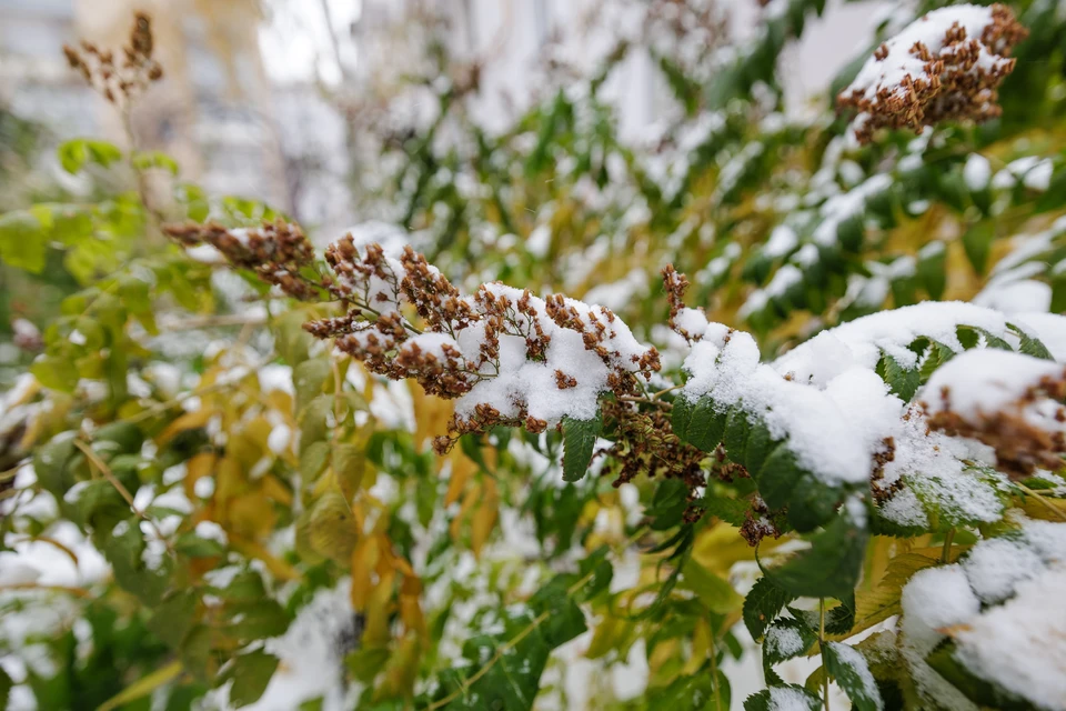 Первый снег выпал в области.