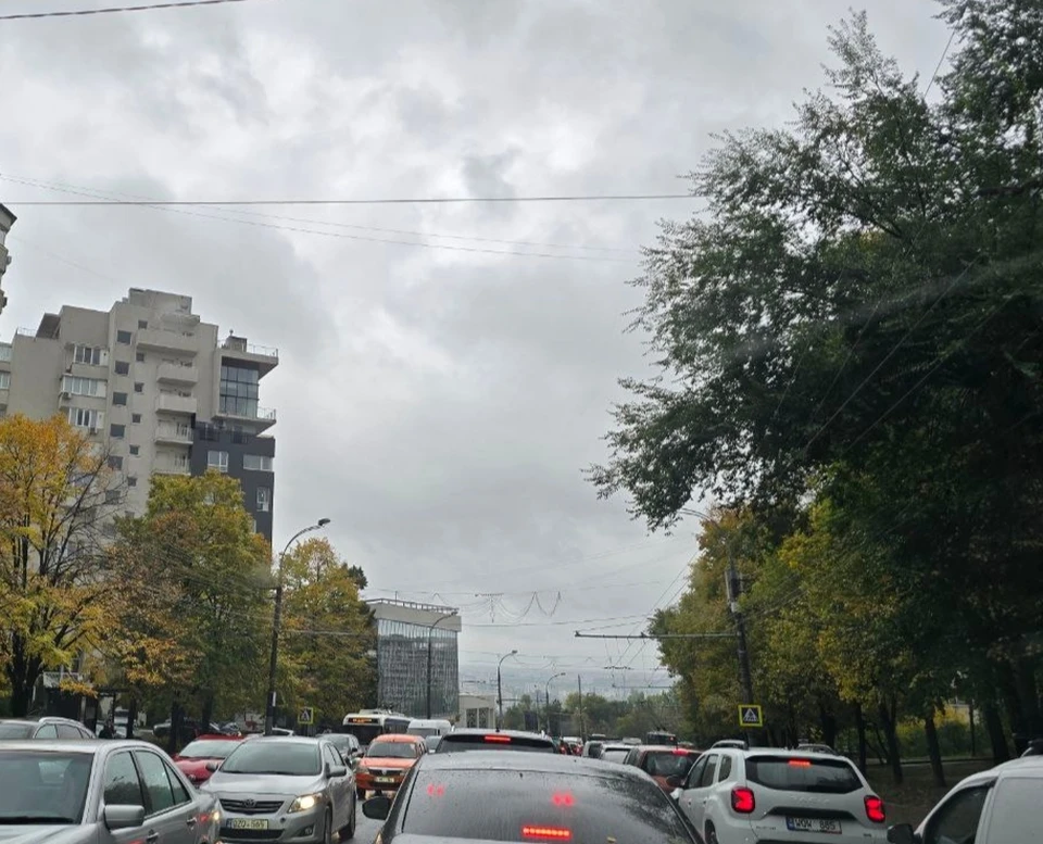 Фото: из архива КП