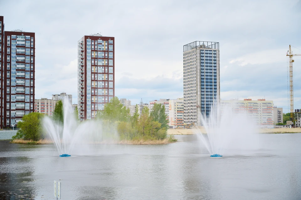 За пять лет уровень бедности в области снизился с 15% до 9,3%