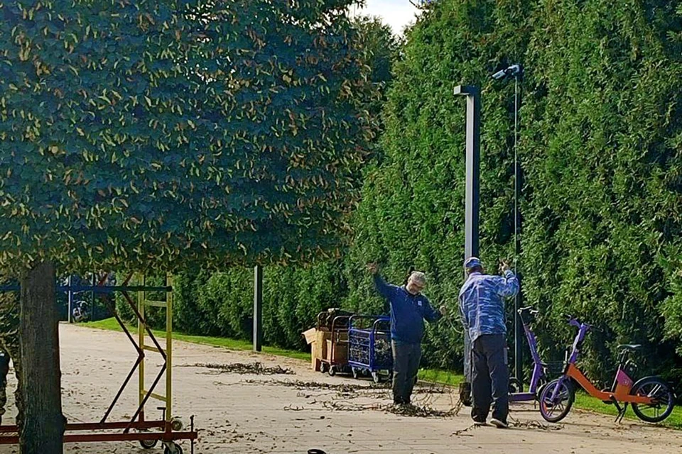 В парке "Краснодар" готовятся к Новому году. Фото: t.me/park_oblakov