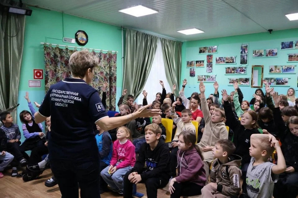Ленинградские ветеринары провели Урок доброты для детей. Фото: пресс-служба Госветслужба ЛО.