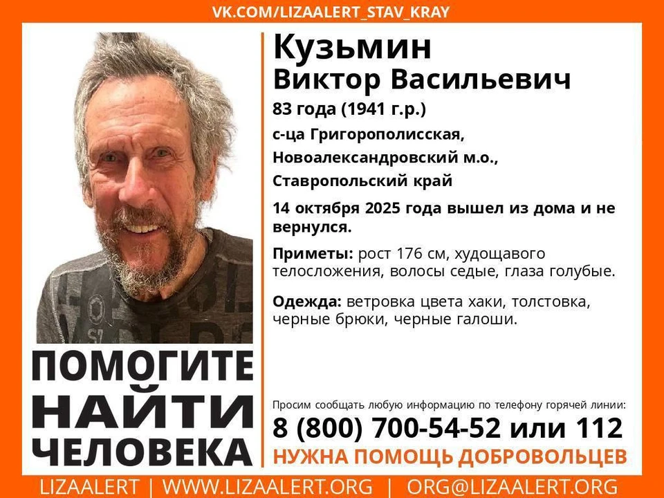 Фото: t.me/lizaalert_stavropol