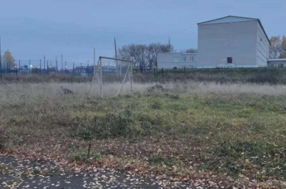Фото: Народный фронт в Пермском крае.