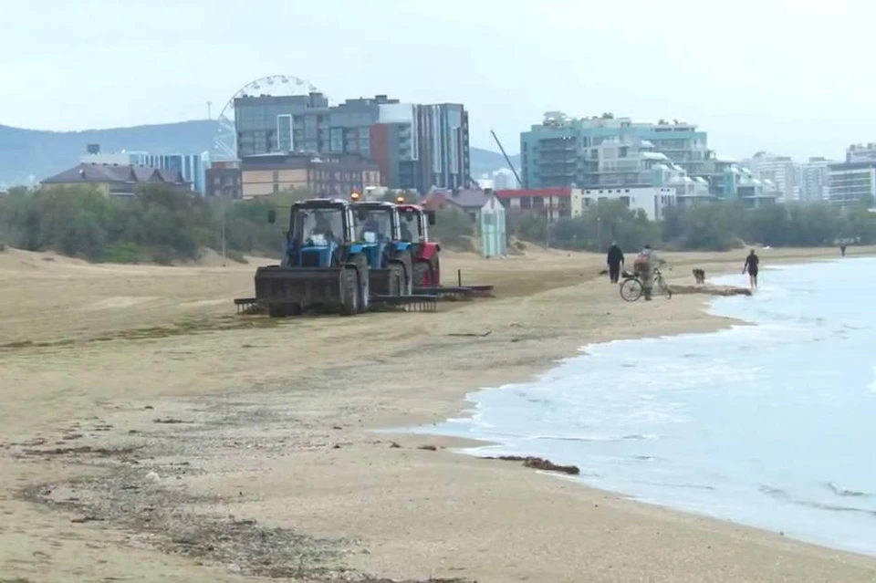 В Анапе приостановили очистку пляжей от мазута из-за непогоды Фото: оперативный штаб Краснодарского края