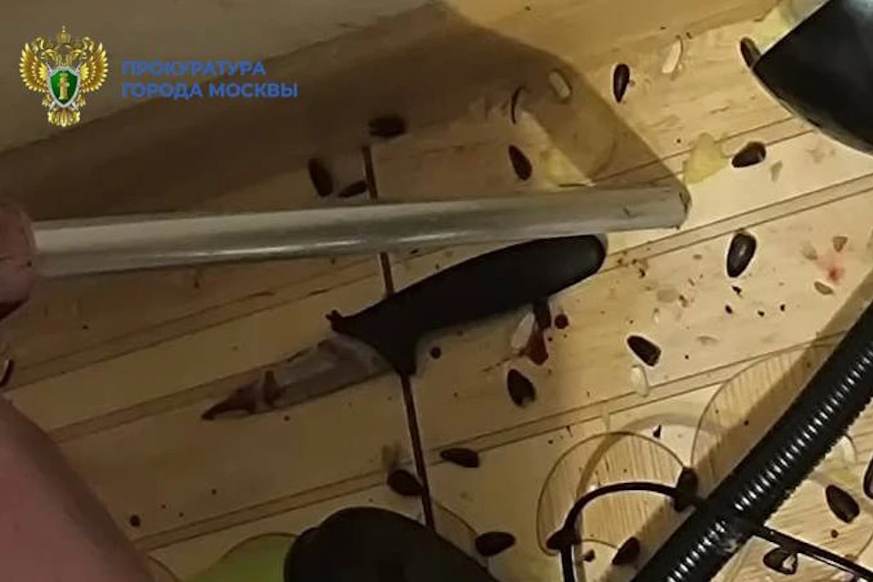 В Москве квартирант зарезал арендодателя