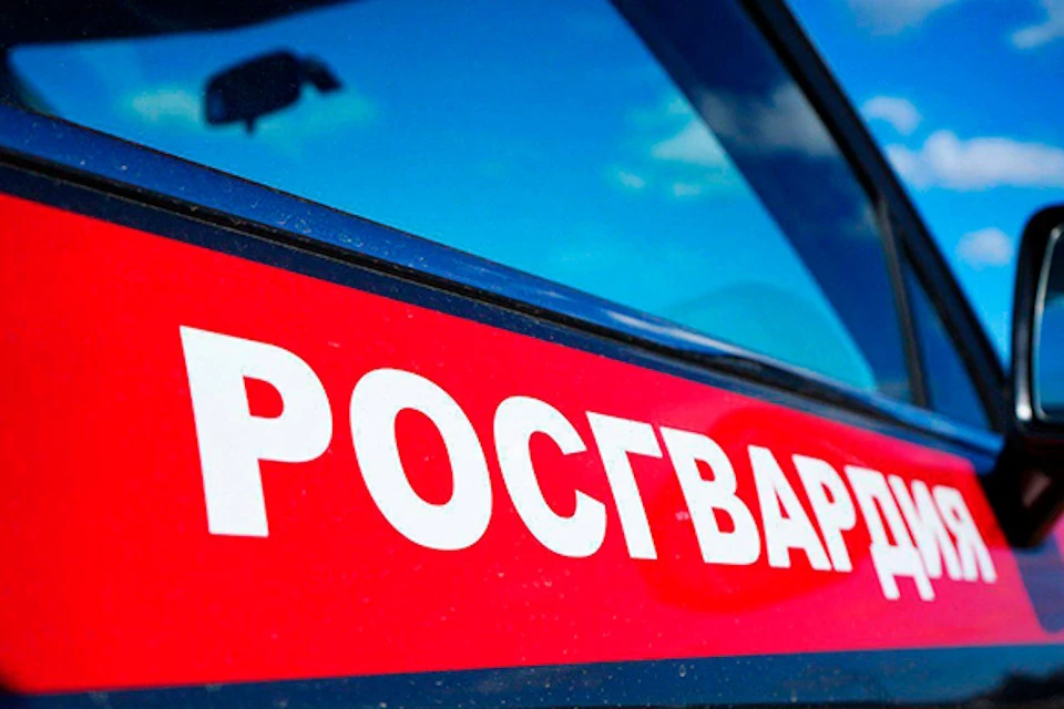 Росгвардейцы задержали вандала, вырывавшего урну у остановки в Москве