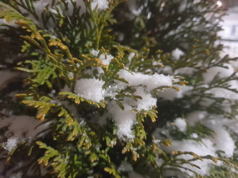 Погода на Ямале на 18 октября