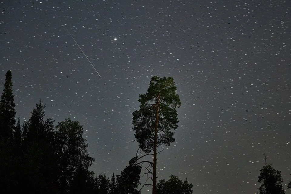 Две ярких кометы - SWAN и Lemmon - можно наблюдать в Крыму.