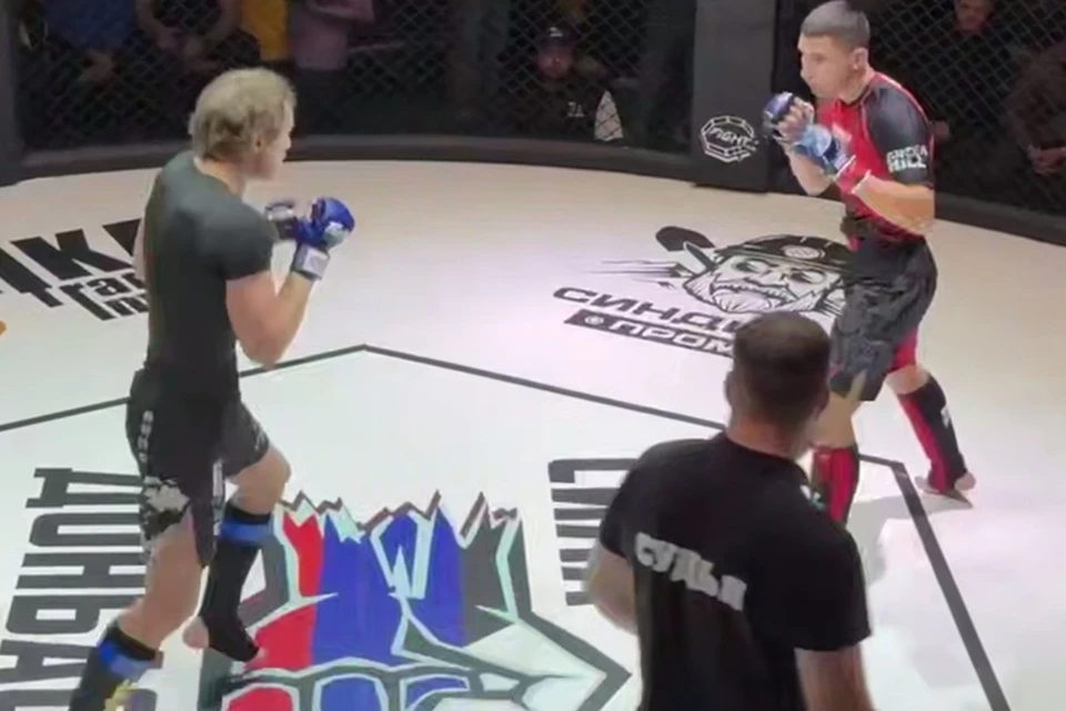 В Донецке состоялся турнир по ММА в память погибшего защитника Отечества. Фото: ЕР ДНР