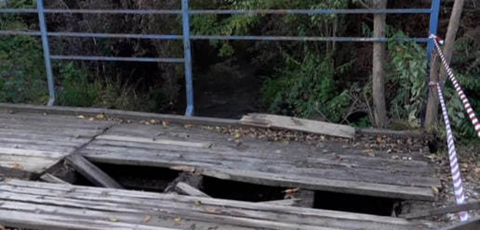 Фото: Скриншот видео телеканала «Кубань 24»